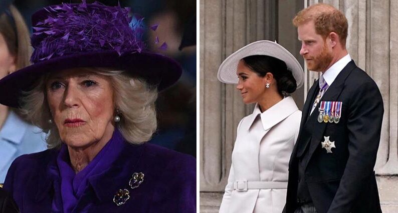 Camilla Parker Bowles pekas på nytt ut som rasist